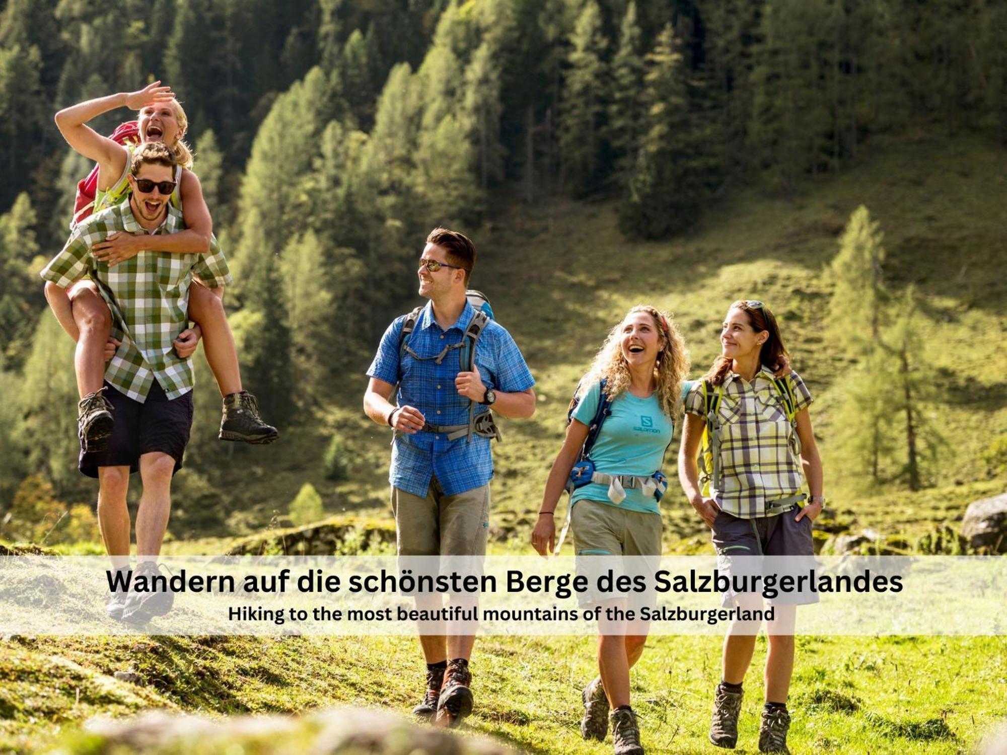 Apartments Viola Altenmarkt อัลเทนมาร์คท์ อิม พองเงา ภายนอก รูปภาพ